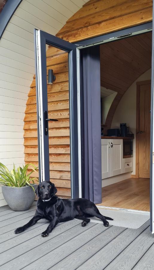 Eastridge Glamping Pods Shrewsbury Buitenkant foto